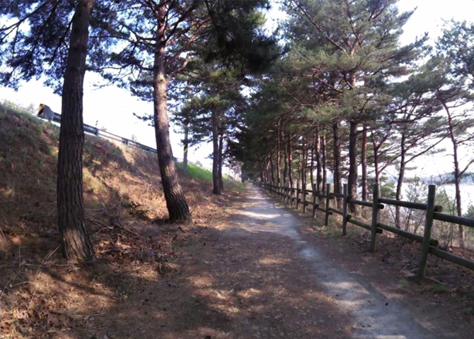 East Coast Bicycle Path (Gyeongbuk) guide image03