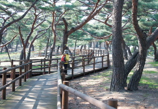 Woongjin Deokjeok-Do (Island) Path guide image06